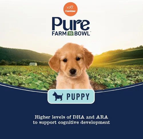 Miniatura 4 de Canidae Pure - Comida seca premium para cachorros con ingredientes limitados, receta de salmón real y avena, 22 libras, con granos sanos