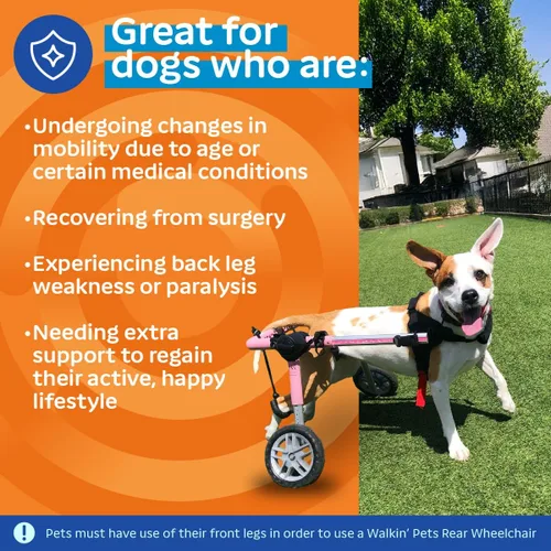 Miniatura 4 de Walkin' Wheels Silla de ruedas para perros, para perros medianos de 26 a 49 libras, aprobada por veterinarios, silla de ruedas para perros
