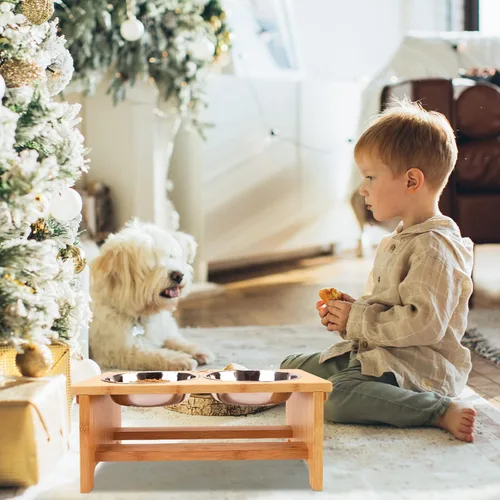Miniatura 7 de HTB Cuencos elevados para perros, soporte elevado para perros con 2 cuencos de acero inoxidable, cuencos elevados para perros grandes, medianos
