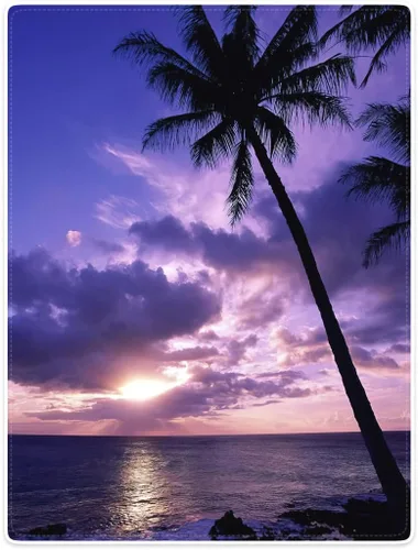 Miniatura 2 de Manta de franela suave con palmera y puesta de sol, acogedora manta tropical ligera para sofá, cama, decoración del hogar, 50 x 60 pulgadas