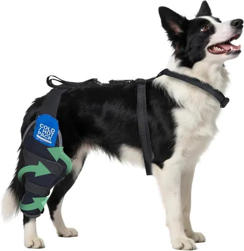 Rodilleras para perro para pierna trasera, de doble uso para compresa caliente/fría, alivia el dolor agudo en las articulaciones y lesiones del