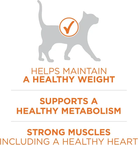 Miniatura 3 de Purina ONE Alto en Proteína, Fórmula Saludable Plus Ideal con Pollo, Alimento Seco para Gatos, Fórmula de Control - Bolsa de 7 lb