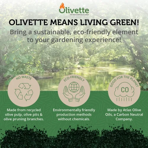 Miniatura 7 de Olivette Carbón activado de biochar hortícola para plantas, control de humedad orgánico USDA para árboles de terrario y plantas en maceta