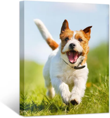 Impresiones fotográficas personalizadas en lienzo – Impresiones en lienzo con tus fotos sobre lienzo, arte de pared para decoración del hogar,