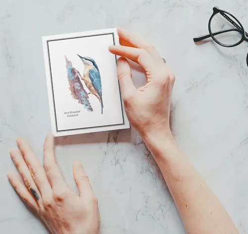 Miniatura 9 de Twigs Paper - Tarjetas de felicitación de aves americanas surtidas - Tarjetas de papelería con sobres, tarjeta de agradecimiento, tarjetas de notas