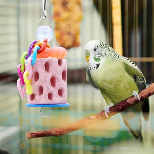 Miniatura 6 de Wontee Pico de pájaro molienda periquito golosinas aves calcio masticar juguete para periquitos periquitos cacatúa conure hámster (color aleatorio)