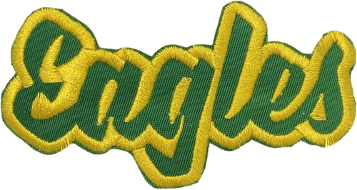 Miniatura 36 de (2 x 4 pulgadas) Eagles, espíritu de equipo, bordado, parche para planchar (sarga blanca/contorno verde)