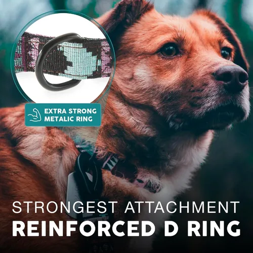 Miniatura 5 de Collar para Perros Embark Adventure – Collar de Nailon Elegante y Duradero para Perros Medianos, Collar para Mascotas Cómodo y Ajustable para Perros