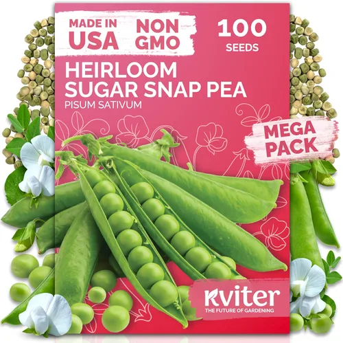 Miniatura 27 de KVITER 325 semillas de tomates gigantes (Solanum lycopersicum) – Filete de ternera paquetes de semillas de tomate – Tomates tradicionales – Semillas