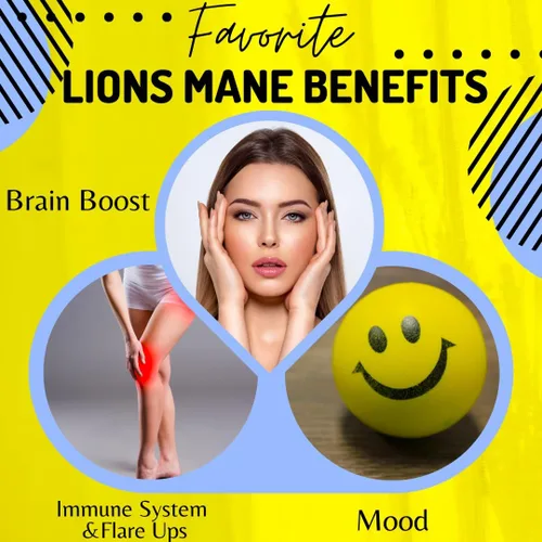 Miniatura 2 de BioImmune Cápsulas orgánicas de suplemento de melena de leones 120 cápsulas con Patent Litropane™ Immune System Booster Suplemento de hongos