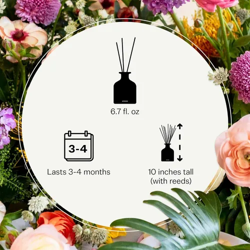 Miniatura 3 de Apoteke Difusor de Aroma Esencial con Varillas de Ratán de Lujo para el Hogar, Menta Silvestre y Hiedra - 6.7 Fl Oz de Aceite Esencial
