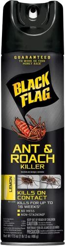 Miniatura 3 de Black Flag Ant and Roach Killer 17.5 onzas, aerosol en aerosol, sin perfume