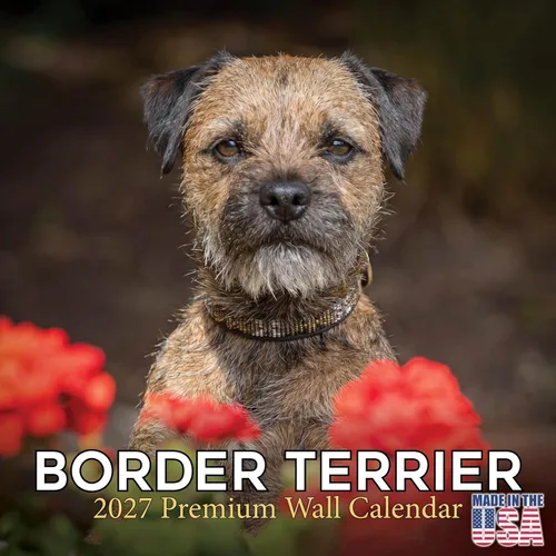 Miniatura 87 de Calendario 2025 2026 de cachorros Cocker Spaniel - Calendario mensual de pared de raza de perro - 12" x 24" abierto - Papel grueso sin sangrado