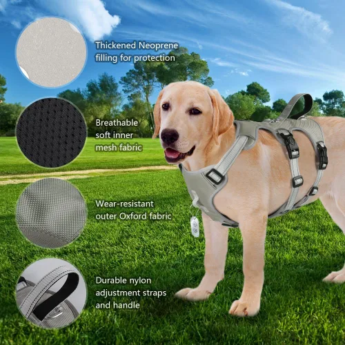 Miniatura 6 de FEimaX Arnés para perro sin tirones, chaleco acolchado suave para perro con 3 clips para la correa y asa de fácil control, reflectante ajustable sin