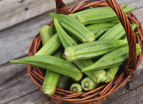 Miniatura 2 de Semillas Verde Okra Bamia (Dedo de Señora) Vegetales sin OMG para plantar