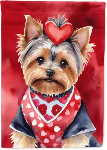Miniatura 160 de Caroline's Treasures DAC5292CHF - Bandera de Border Collie My Valentine House para porche, grande, con manga para porche, para colgar en la pared