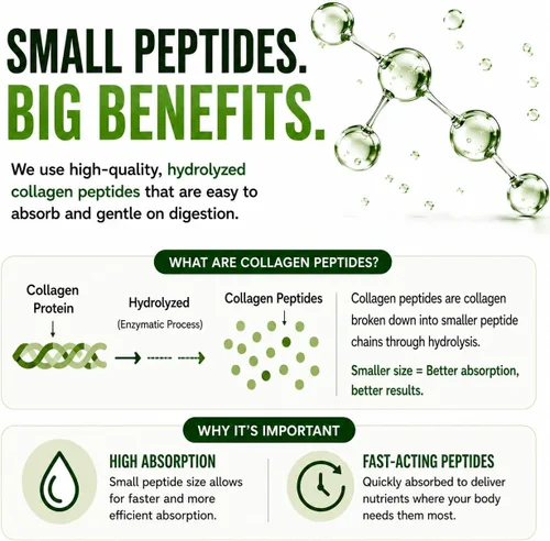 Miniatura 4 de Polvo de péptidos de colágeno con vitamina C y ácido hialurónico, de fuentes orgánicas más limpias y súper alta absorción, multitipo hidrolizado I