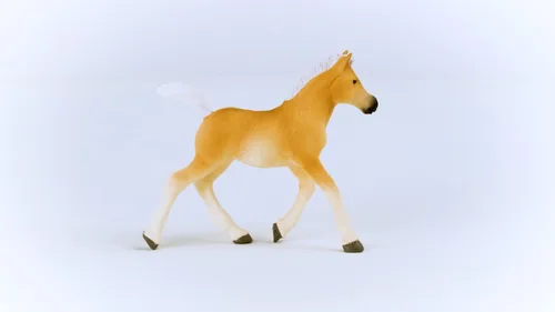 Miniatura 6 de Schleich Horse Club 2023 - Figura de juguete de caballos para niñas y niños Halflinger Foal Horse Horse Toy Figurine, a partir de 5 años