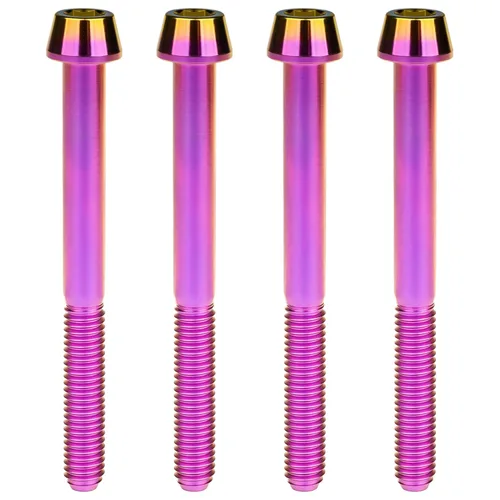 Miniatura 50 de Titanio Ti M6 x 10 16 18 20 25 30 35 40 45 50 55 60 2.559 in Allen - Tornillos hexagonales de 2.559 in, tornillos cónicos, paquete de 4