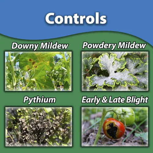 Miniatura 2 de Monterey Houseplant Disease Control RTU, espray orgánico para plantas de interior y exterior, controla enfermedades fúngicas y bacterianas, incluido
