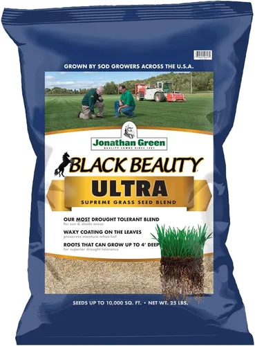 Jonathan Green (10323) Black Beauty Ultra Semilla de césped - Semilla de césped de temporada fría (25 libras)