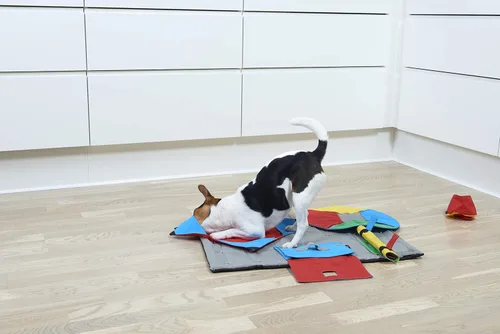 Miniatura 3 de Kruuse Buster Activity Mat - Tarea de rompecabezas para perros, paño de enriquecimiento de nivel 3 para estimulación mental y juego interactivo