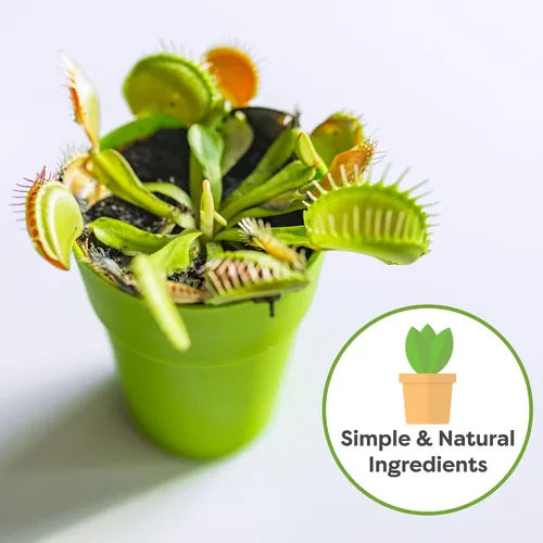 Miniatura 4 de Perfect Plants Suelo para plantas carnívoras Mezcla orgánica premium de 4 cuartos de galón Uso con trampas para moscas Venus, plantas de jarra u