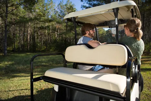 Miniatura 7 de Buggies Unlimited Club Car Precedent - Kit de asiento trasero abatible para carrito de golf con marco de acero, compatible con modelos 2004 en Buff