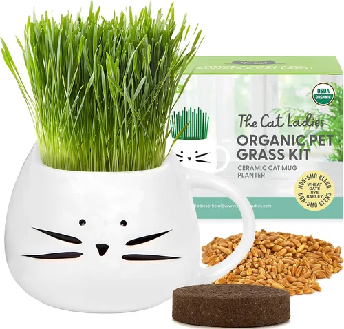 The Cat Ladies Hierba orgánica para gatos de interior - Kit de cultivo con mezcla de semillas orgánicas, tierra y maceta para gatos blancos. Control