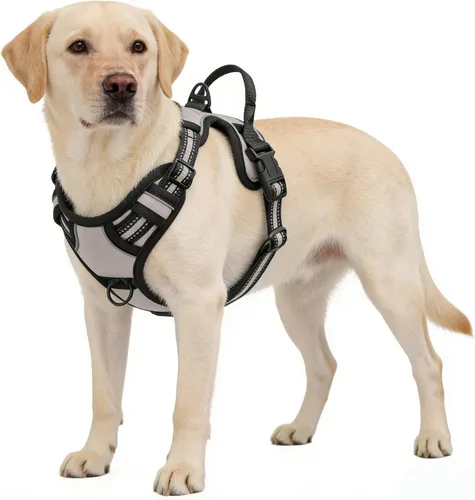Miniatura 7 de Arnés azul para perro sin tirones con 2 clips para correa, chaleco acolchado suave para perros grandes, chaleco reflectante ajustable para perro