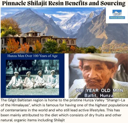 Miniatura 2 de Pinnacle - Resina Shilajit de grado dorado de alta calidad, 100% Shilajit del Himalaya de Gilgit Baltistan, potente energía natural, enfoque y apoyo