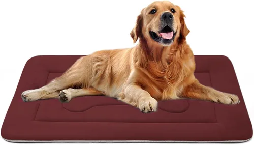 Miniatura 13 de Cama grande y acolchada de 36.0, 42.0 y 47.0 pulgadas para perro, lavable, con base antideslizante, cama para mascotas, camas para gatos, caseta