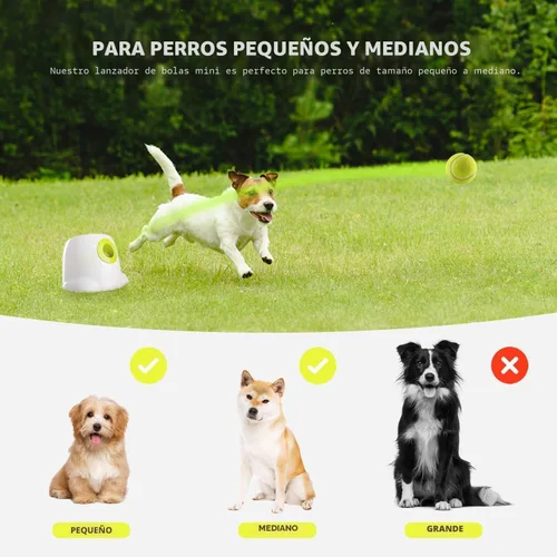 Miniatura 5 de ALL FOR PAWS Lanzador automático de bolas original para perros pequeños y medianos, máquina interactiva de lanzamiento de pelotas de tenis