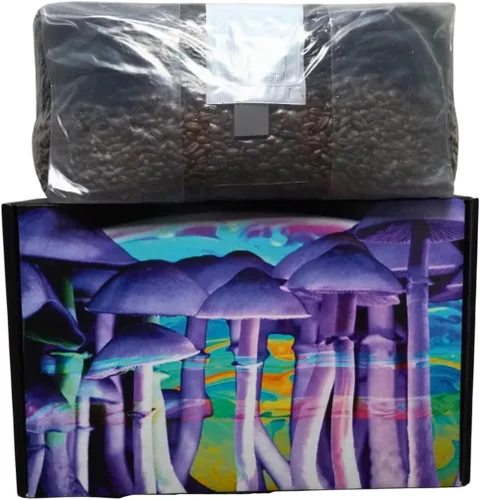 Miniatura 4 de Bolsa de cultivo de hongos de 6 libras, kit de cultivo todo en uno en una bolsa, desbroce de grano esterilizado y sustrato a granel, puerto
