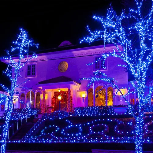 Miniatura 5 de JMEXSUSS 600 luces LED solares azules de Navidad, 206.7 pies, luces azules de Navidad al aire libre, impermeables, 8 modos de luz solar al aire