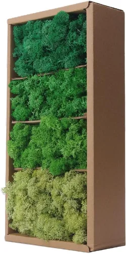 Miniatura 10 de Musgo preservado, musgo de 3.5 onzas para manualidades, decoración de musgo sintético, musgo verde natural para decoración de pared de floristería