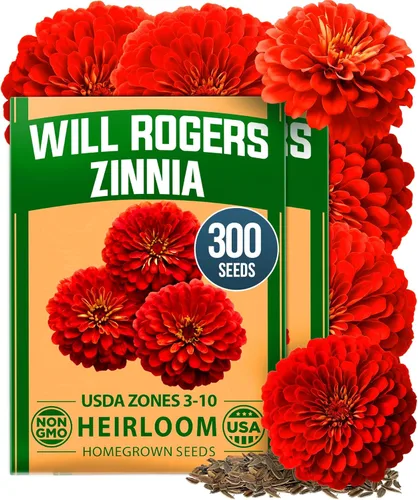 Miniatura 144 de HOME GROWN Mezcla de semillas germinantes de primera calidad, microgreens 118,200 semillas para cultivo en interiores, brócoli, alfalfa, rábano