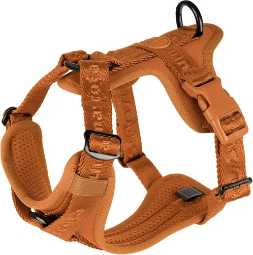 Miniatura 16 de Arnés para perro sin tirones con licra, dispersión de fuerza de tres puntos y acolchado 3D, malla transpirable ajustable para perros pequeños