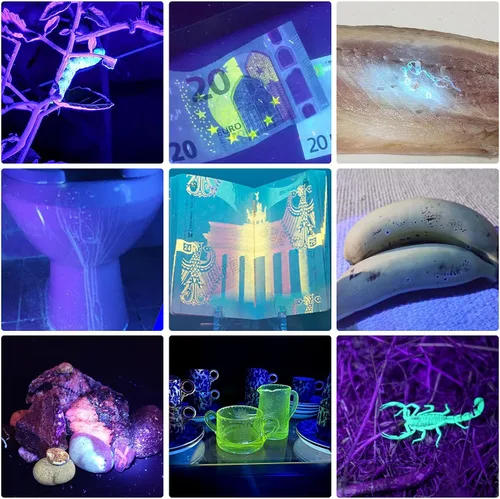 Miniatura 4 de Linterna de luz negra UV 365nm 395nm para curado de pegamento UV, rocas y minerales, detector de manchas de mascotas, buscador de escorpiones