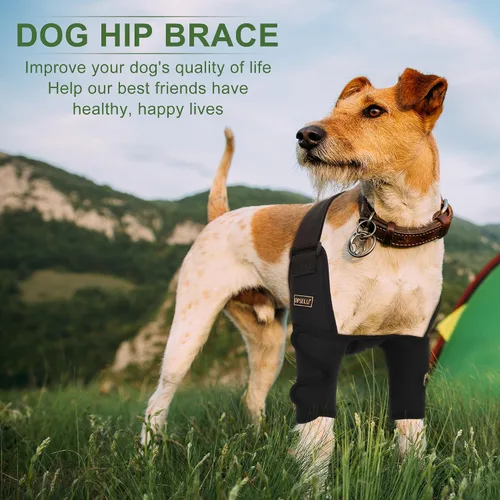 Miniatura 5 de Codera ajustable para perro con soporte de hombro, soporte de pierna delantera para perro para ligamentos desgarrados, artritis, rehabilitación