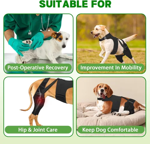 Miniatura 4 de Rodillera para perro para pierna trasera desgarrada, ajustable para pierna trasera con 6 estabilizadores, reduce el dolor, lesiones de ligamentos