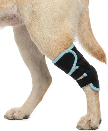Miniatura 9 de Kuoser Soporte de pierna de perro pequeño, envoltura de compresión para patas delanteras y traseras, rodillera ajustable para perro, soporte