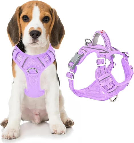 Miniatura 44 de BARKBAY Arnés para perro sin tirones con bolsillo para etiqueta de identificación, resistente, reflectante, fácil control para perros grandes