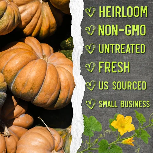 Miniatura 6 de Seed Needs Semillas de calabaza para plantar calabazas de cuento de hadas, reliquia sin OMG y semillas de vegetales Cucurbita sin tratar para Cuento