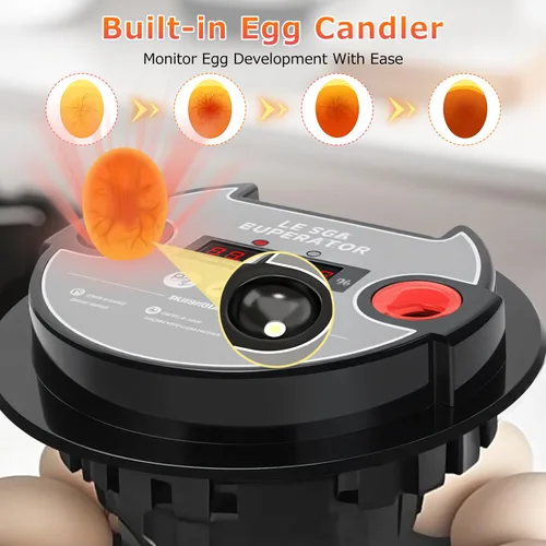 Miniatura 6 de 12 incubadoras de huevos para incubar huevos, incubadora automática de huevos con control de temperatura, control de humedad y pantalla para huevos