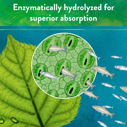 Miniatura 7 de Down to Earth All Natural Fertilizers Polvo de pescado de grado orgánico – Nitrógeno soluble en agua – Hace hasta 250 galones de fertilizante