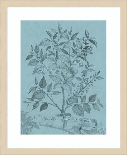 Miniatura 15 de Amanti Art Vision Studio - Póster enmarcado de 24 x 20 pulgadas, diseño botánico en V verde azulado por Vision Studio, arte de pared de naturaleza