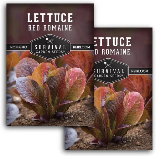 Miniatura 10 de Semilla de lechuga romana roja para plantar, 1 paquete con instrucciones para plantar y cultivar lechuga de hoja roja en tu huerto, variedad
