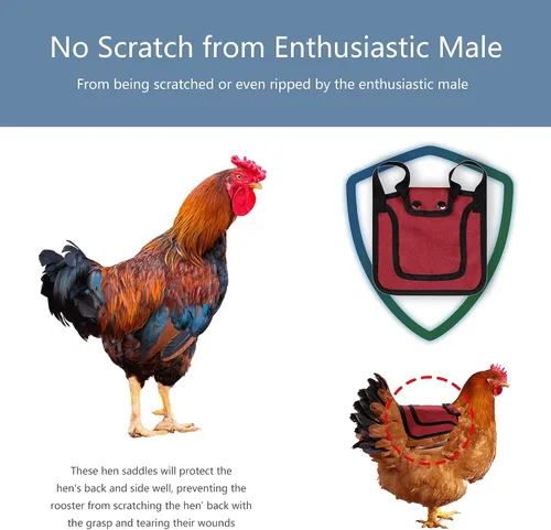 Miniatura 2 de Sillines de pollo de alta calidad de 3 piezas con correa elástica, ropa de suéter para soltero, protector de pájaros para espalda y lados