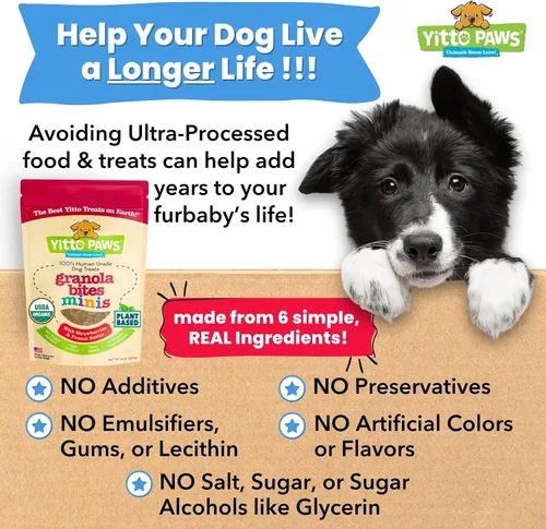 Miniatura 5 de Mini golosinas orgánicas de entrenamiento para perros – Galletas crujientes y bajas en calorías – Fresa y mantequilla de maní – Veganas, de grado